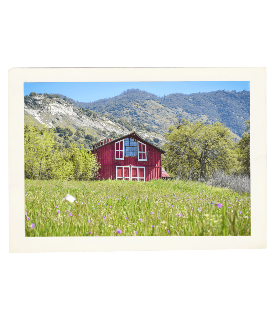 Sunny landscape of scenic St. Nicholas Ranch